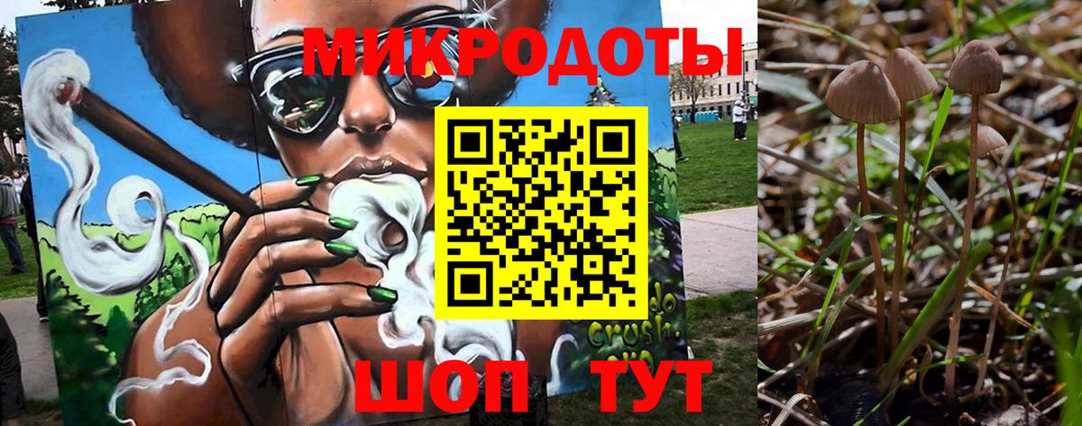 Псилоцибиновые грибы MAGIC MUSHROOMS  Вход с VPN  Иваново 